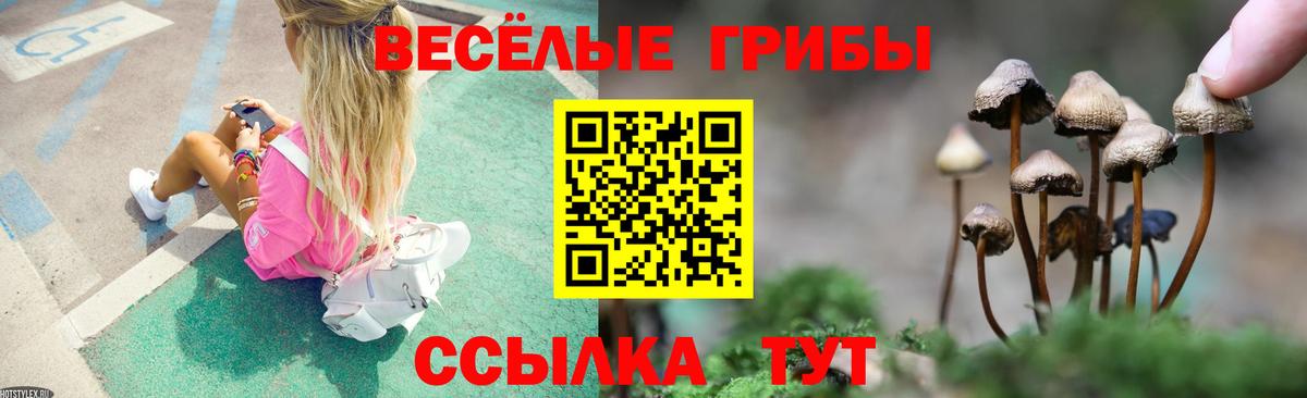 Псилоцибиновые грибы ЛСД Краснознаменск
